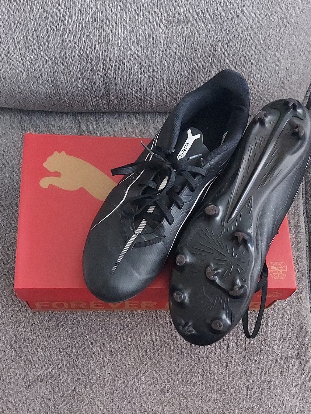 Puma